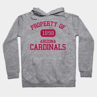 Property of Arizona Cardinals Hoodie